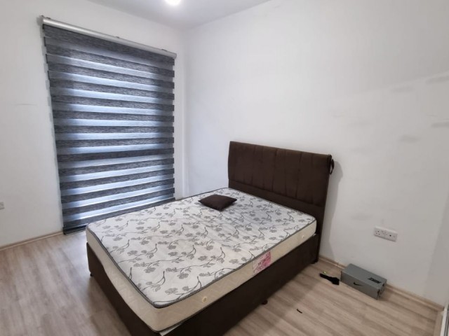 Furnished and new apartment in CADDEM project