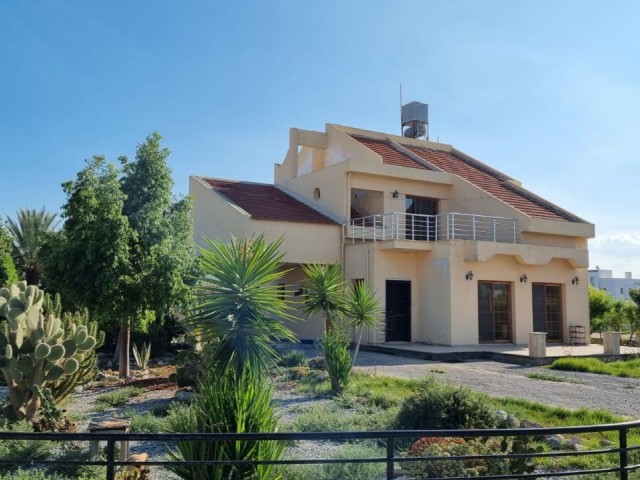 Geniş ve bahçeli köşe villa