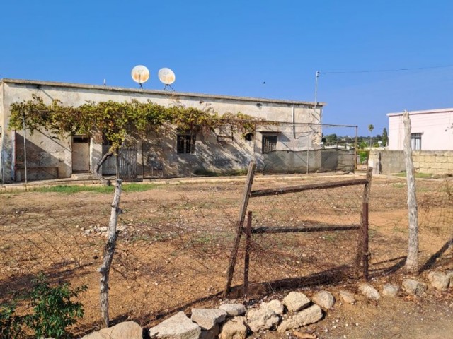 Authentic Cypriot house on 3 acres