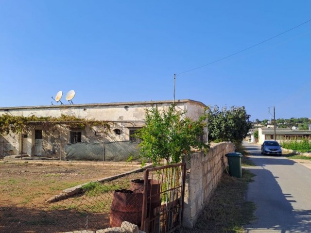 Authentisches zypriotisches Haus auf 3 Hektar
