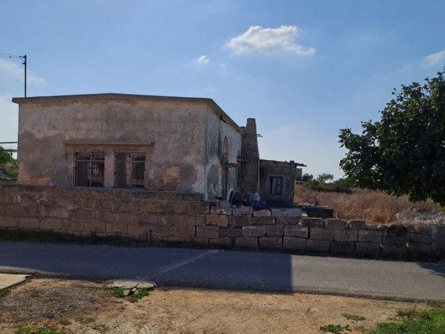 3 dönüm içerisinde, otantik Kıbrıs evi