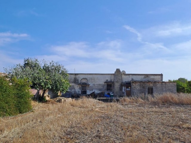 Authentisches zypriotisches Haus auf 3 Hektar