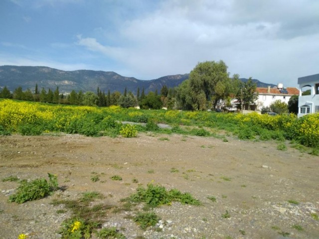 منطقه مسکونی برای فروش in Boğaz, گیرنه