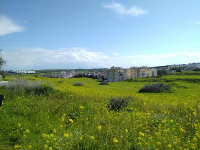 منطقه مسکونی برای فروش in Boğaz, گیرنه