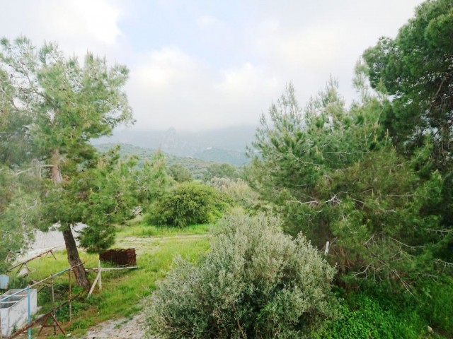 Villa For Sale in Edremit, Kyrenia