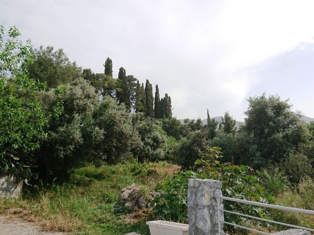 ویلا برای اجاره in Çatalköy, گیرنه