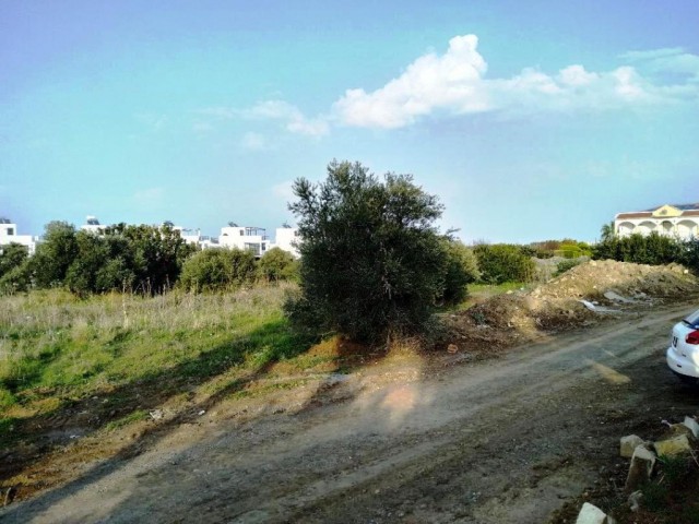 A wonderful place in Kyrenia Edremit, 2 acres of land equivalent to 3 houses( 3679 m2), a 3-minute drive from the ring road... ** 