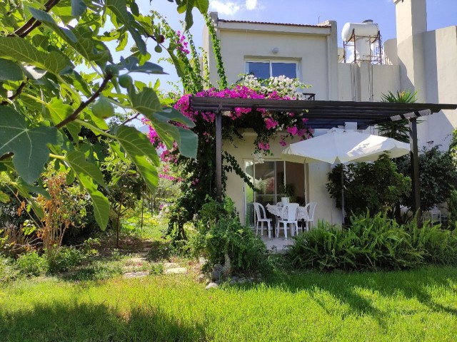 Semi-detached Villa for Rent in a Site with Shared Pool in Magnificent Gardens