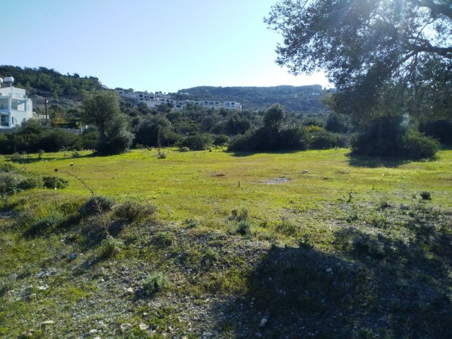 11,001 m2 land in Kyrenia Kayalar region, great land with mountain, sea view, suitable for developer