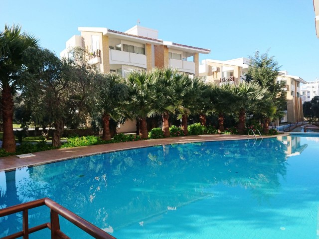 Large 1+1 Turkish Title Deed Apartment Furnished with Quality Furnishings in a Prestigious Complex with Communal Pool FOR SALE 