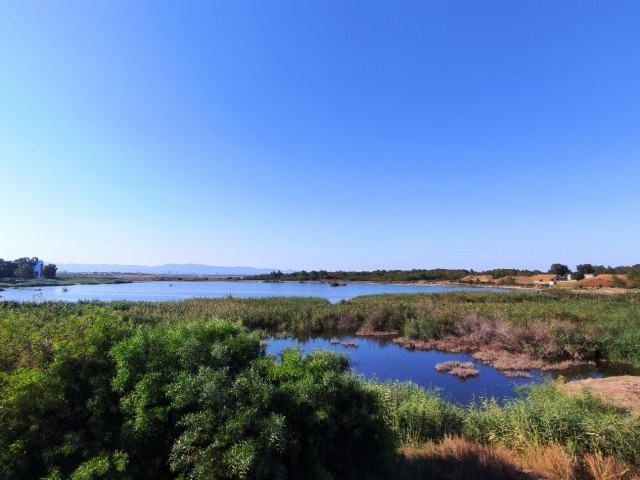 Wohnungen mit Seeblick zum Verkauf in einem neuen Gebäude mit hochwertigem Aufzug in Famagusta