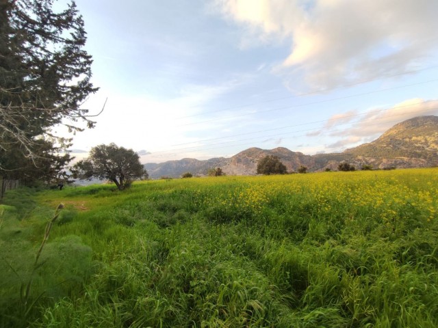 1 Wohngenehmigung mit herrlichem Blick in die Natur