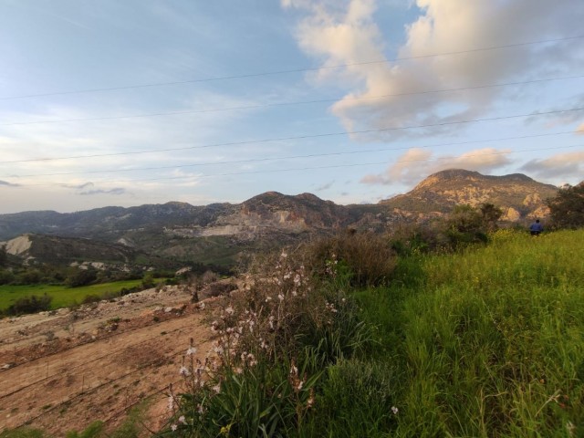 1 Wohngenehmigung mit herrlichem Blick in die Natur