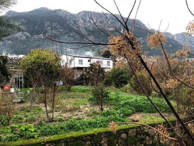 ساختمان ناتمام برای فروش in Lapta, گیرنه