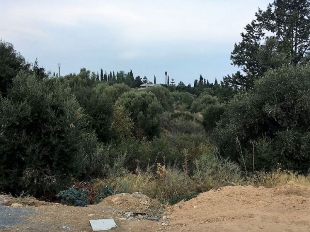 Villa Kaufen in Yeşiltepe, Kyrenia