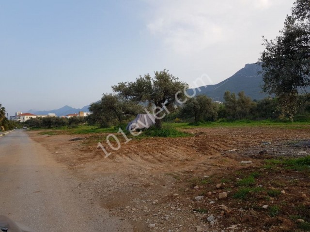 Residential Zoned Plot For Sale in Zeytinlik, Kyrenia