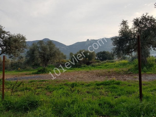 Residential Zoned Plot For Sale in Zeytinlik, Kyrenia