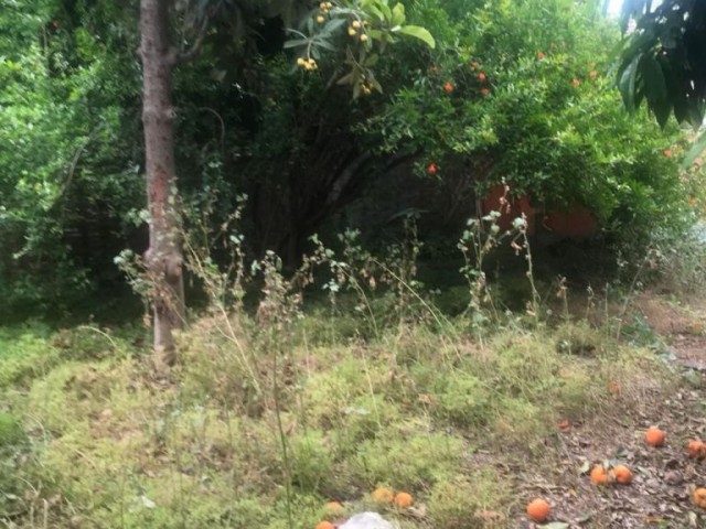 خانه مستقل برای اجاره in Çağlayan, نیکوزیا