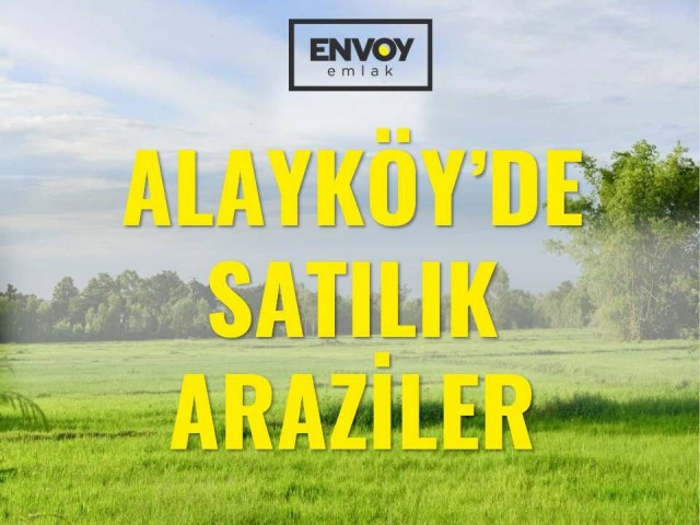 Alayköy ist auch in der Nähe der Universität, Land, das bald für den Bau geöffnet werden soll ** 
