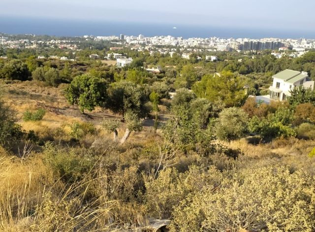 Zeytinlik'te Muhteşem Konumda Türk Malı, Dağ Ve Deniz Manzaralı Yolu Mevcut Satılık Arazi