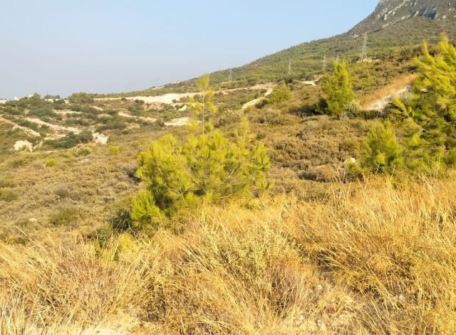 Residential Zoned Plot For Sale in Zeytinlik, Kyrenia