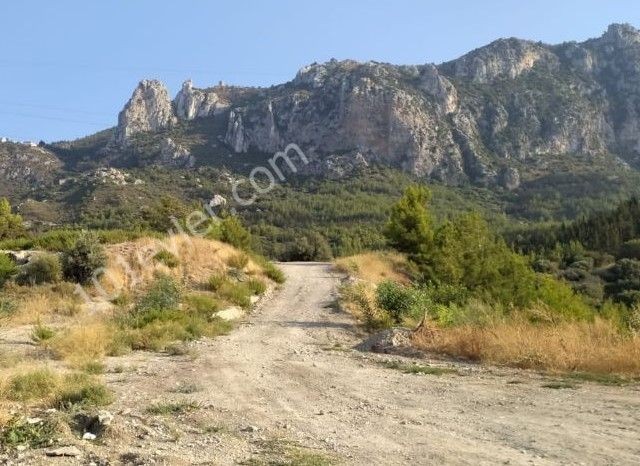 Zeytinlik'te Muhteşem Konumda Türk Malı, Dağ Ve Deniz Manzaralı Yolu Mevcut Satılık Arazi