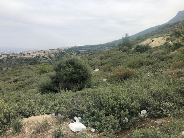 Residential Zoned Plot For Sale in Zeytinlik, Kyrenia