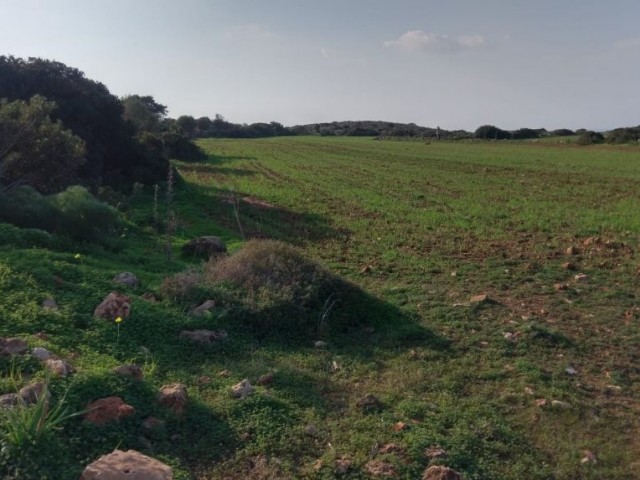 İskele Yeni Erenköy'de Müthiş Konumda İmara Açık Deniz ve Dağ Manzaralı Arazi !