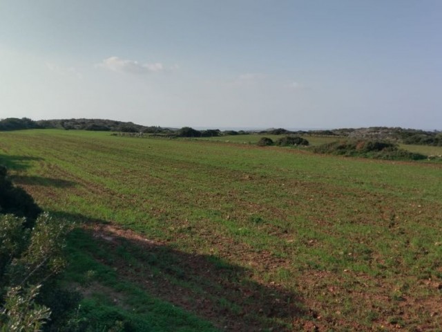 İskele Yeni Erenköy'de Müthiş Konumda İmara Açık Deniz ve Dağ Manzaralı Arazi !