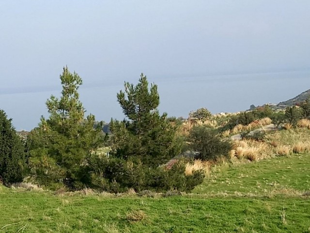 Lefke -Land for Sale in Yeşilırmak with a Turkish Title, Open to All Types of Construction! The Infrastructure Is Ready (Open for Exchange With Nicosia Villa) ** 