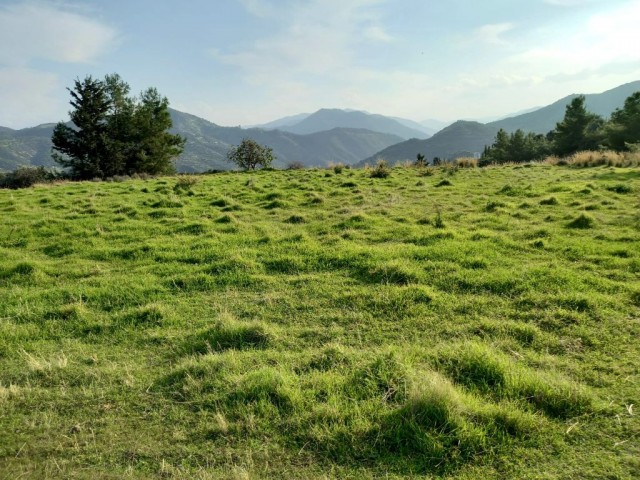 Lefke -Yeşilırmak'ta Türk Tapulu , Her Türlü İmara Açık Satılık Arazi ! ( Lefkoşadan Villa İle Takasa Açık) Altyapısı  Hazır