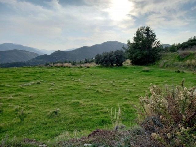 Lefke-Yesilirmak ta Türkische Tat , alle Arten von Land zum Verkauf offen für den Bau ! (Mit Der Villa Von Nikosia Zum Austausch Geöffnet) Die Infrastruktur Ist Bereit ** 