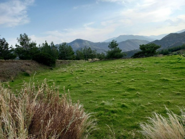 Lefke-Yesilirmak ta Türkische Tat , alle Arten von Land zum Verkauf offen für den Bau ! (Mit Der Villa Von Nikosia Zum Austausch Geöffnet) Die Infrastruktur Ist Bereit ** 