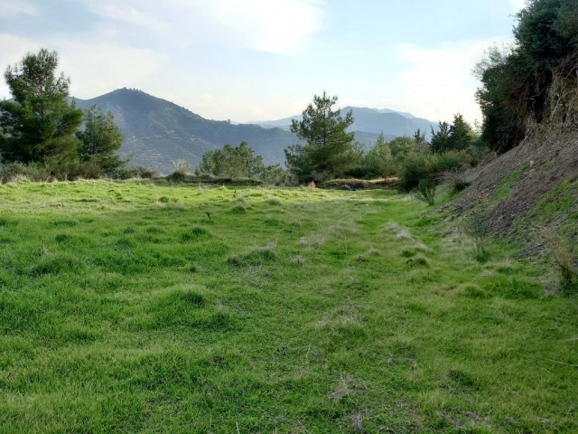 Lefke -Land for Sale in Yeşilırmak with a Turkish Title, Open to All Types of Construction! The Infrastructure Is Ready (Open for Exchange With Nicosia Villa) ** 