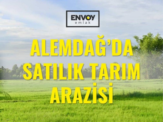 Alemdağ'da Satılık Tarım Arazisi