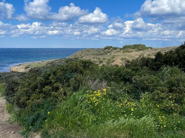 Land in Front of the Turkish Sea Land Near the Sea ** 