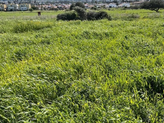 Land in Front of the Turkish Sea Land Near the Sea ** 