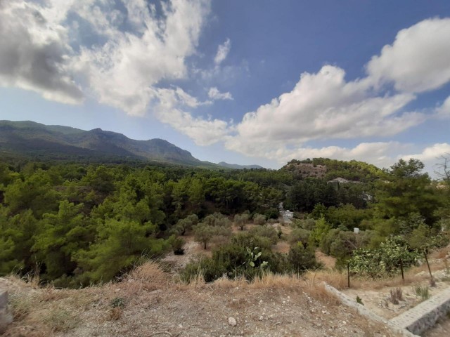 Einfamilienhaus Kaufen in Karaağaç, Kyrenia