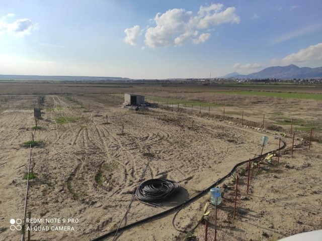 A Ready-made Garden with Various Fruit Trees and a Generator / Water Well in Serdarlı (OPEN FOR EXCH