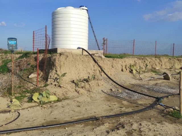 A Ready-made Garden with Various Fruit Trees and a Generator / Water Well in Serdarlı (OPEN FOR EXCHANGE) ** 