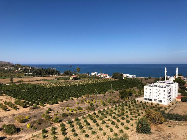 تخت برای فروش in Lefke, لفکه