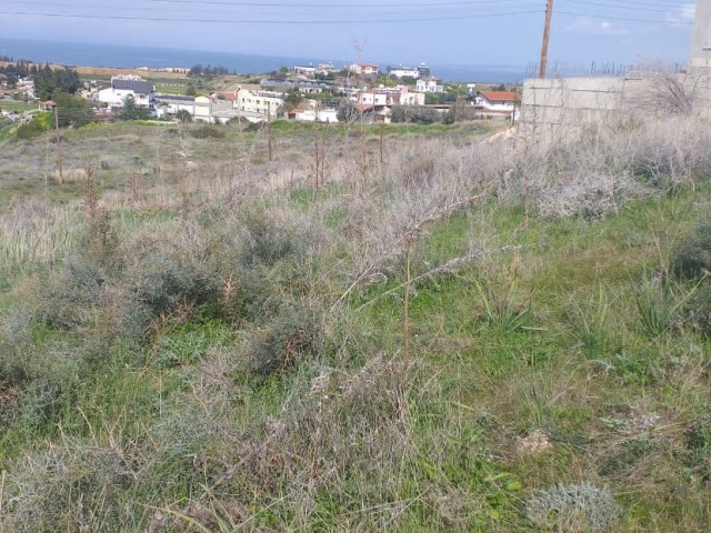 Gemikonağı - Lefke Arasında Tapuları Hazır Arsalar  