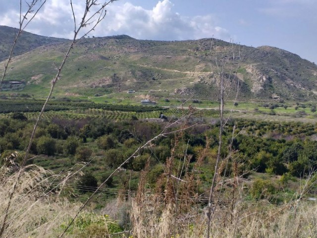 Titel von gemikonagi - Lefke fertig Türkische Titel Grundstücke mit Berg-und Meerblick ab Llogara 32500 ** 