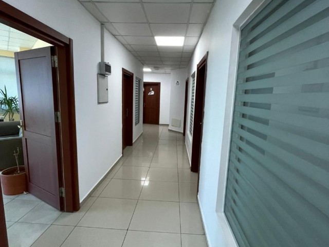 Rent an Office on the Main Street in Hamitkoy ** 