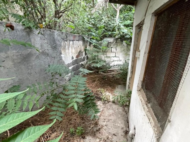 Komplett gemietetes Gartengebäude in zentraler Lage in der Stadtmauer ** 