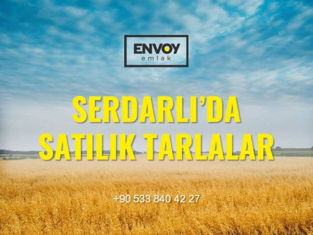 Fields for Sale on the Main Road in Serdarlı (31 Acres, 11 Acres, 14 Acres and 11 Acres) (Agricultural Land) ** 