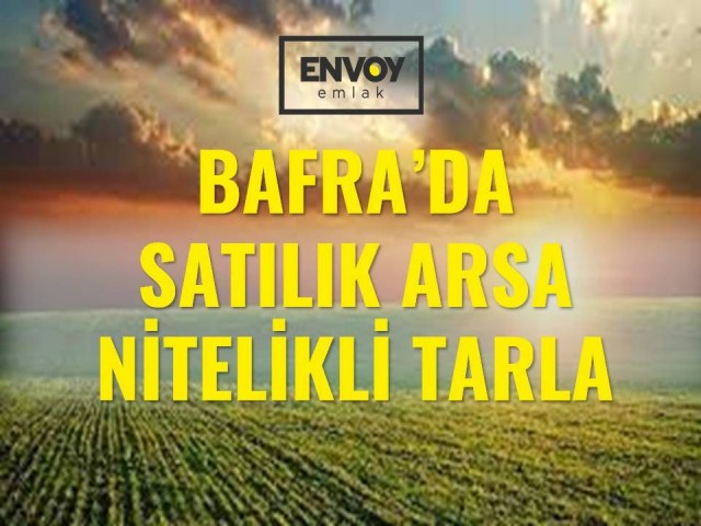 Bafra'da Satılık Yatırımlık Arazi (İster Parselasyon Yap, Ister Villa)