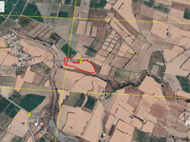 Agricultural Land For Sale in Güzelyurt Yayla