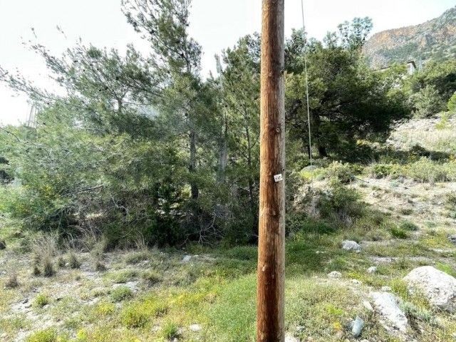 Ağırdağ'da Satılık Türk Koçanlı Arazi (Mükemmel Manzara)