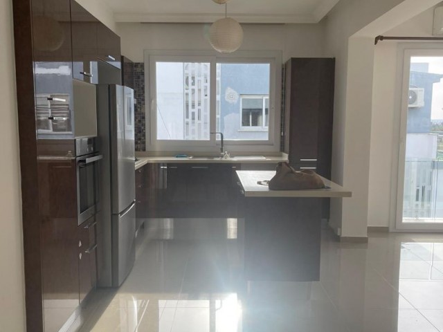 2+1 Penthouse for Rent in Metehan 